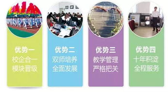 对电子商务专业正确理解