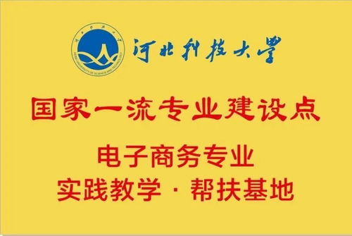 国家电子商务专业大奖
