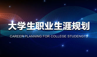 清华电子商务专业毕业生