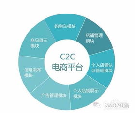 电子商务是哪种类别专业
