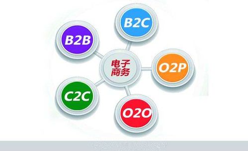 专业性电子商务服务概况