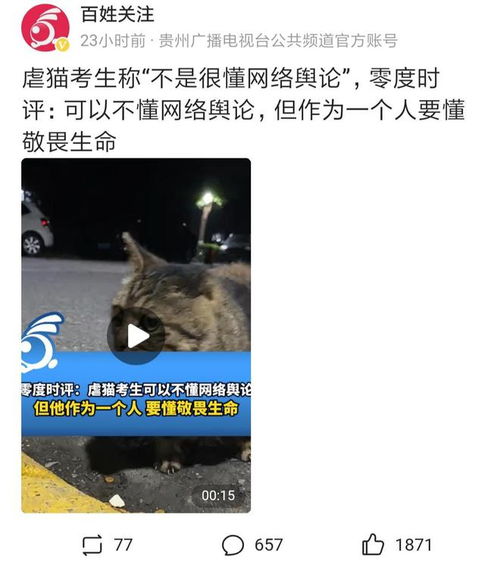 虐猫考生上岸失败，道德品行与职业选择